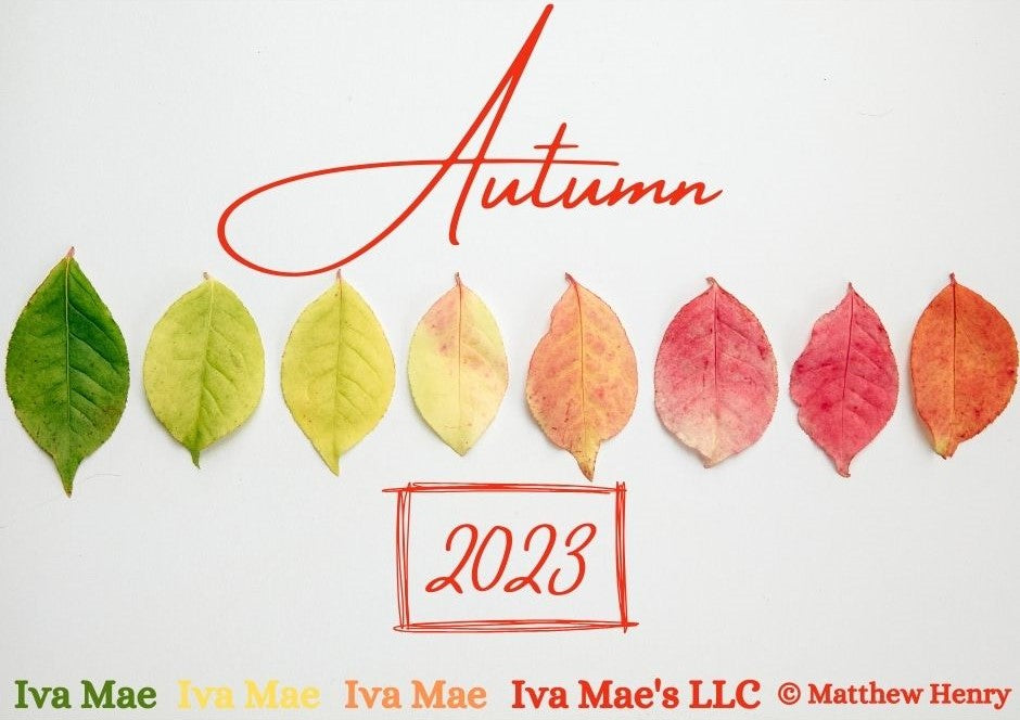 2023: Autumn