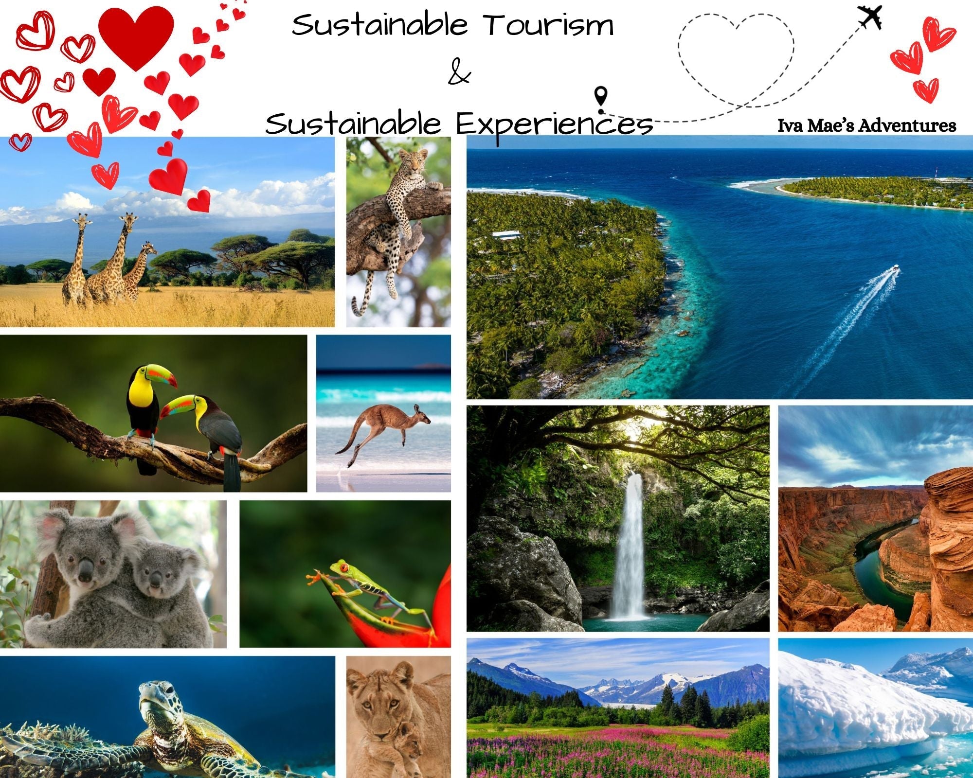 Sustainable Tourism & Sustainable Experiences